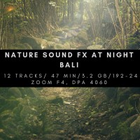Purchase Freetousesounds - At Night In Bali In The Forest & Rice Fields
