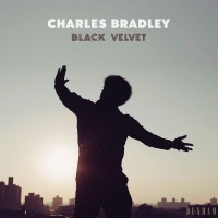 Purchase Charles Bradley - Black Velvet