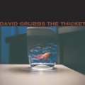 Buy David Grubbs - The Thicket Mp3 Download