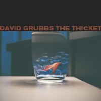 Purchase David Grubbs - The Thicket