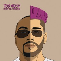 Purchase Zayn - Too Much (CDS)