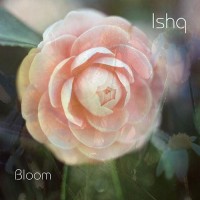 Purchase Ishq - Bloom