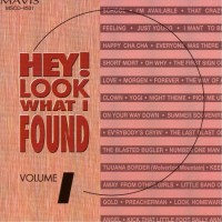 Purchase VA - Hey! Look What I Found Vol. 1