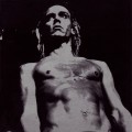 Buy VA - We Will Fall: The Iggy Pop Tribute Mp3 Download