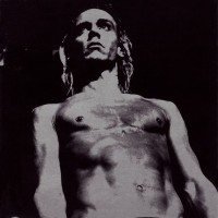 Purchase VA - We Will Fall: The Iggy Pop Tribute