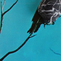 Purchase Tangents - Stateless