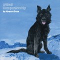 Buy Advance Base - Animal Companionship Mp3 Download