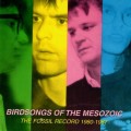 Buy Birdsongs Of The Mesozoic - The Fossil Record 1980-1987 Mp3 Download