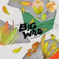 Buy Big Wild - Invincible (EP) Mp3 Download