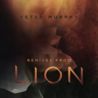 Purchase Peter Murphy - Hang Up (EP)