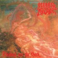 Buy Morbid Angel - Blessed Are The Sick (Full Dynamic Range Edition) Mp3 Download