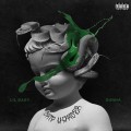 Buy Lil Baby & Gunna - Drip Harder Mp3 Download