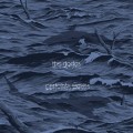 Buy The Dodos - Certainty Waves Mp3 Download