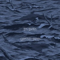 Purchase The Dodos - Certainty Waves