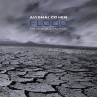 Purchase Avishai Cohen - Flood - Part Two Of The Big Rain Trilogy