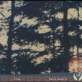 Buy Jane Siberry - Tree: Music For Films And Forests Mp3 Download