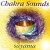 Buy Sayama - Chakra Sounds CD1 Mp3 Download