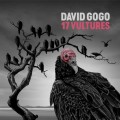 Buy David Gogo - 17 Vultures Mp3 Download