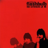 Purchase The Flashbulb - Red Extensions Of Me