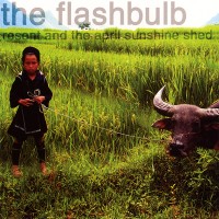 Purchase The Flashbulb - Resent And The April Sunshine Shed