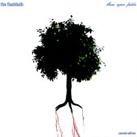 Purchase The Flashbulb - These Open Fields