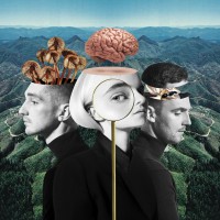 Purchase Clean Bandit - What Is Love? (Japanese Edition)