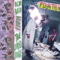 Purchase Fountain - Acid Bath From The Jaded Jungle
