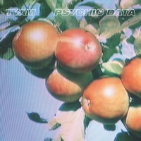 Purchase Tvam - Psychic Data