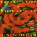 Buy David Sylvian & Robert Fripp - A New Dream CD2 Mp3 Download