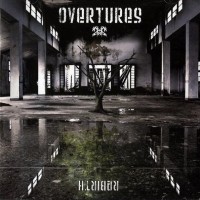 Purchase Overtures - Rebirth