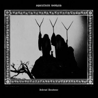 Purchase Spectral Wound - Infernal Decadence