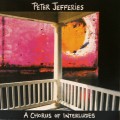 Buy Peter Jefferies - A Chorus Of Interludes Mp3 Download
