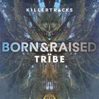 Purchase Tribe - Born & Raised