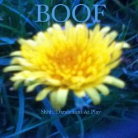 Purchase Boof - Shhh, Dandelions At Play