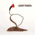 Buy Meg Baird & Mary Lattimore - Ghost Forests Mp3 Download