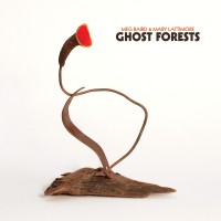 Purchase Meg Baird & Mary Lattimore - Ghost Forests