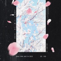 Purchase Shawn Mendes & Zedd - Lost In Japan (Remix) (CDS)