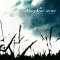 Buy In Morpheus' Arms - Distrust The Mantra Mp3 Download