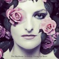 Buy The Blackheart Orchestra - Diving For Roses Mp3 Download