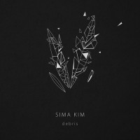 Purchase Sima Kim - Debris