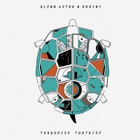 Purchase Glenn Astro & Hodini - Turquoise Tortoise