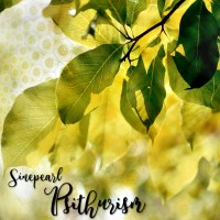 Purchase Sinepearl - Psithurism
