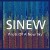 Buy Sinew - Pilots Of A New Sky Mp3 Download