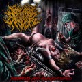 Buy Internal Devour - Aborted And Slaughtered Mp3 Download