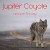 Buy Jupiter Coyote - Life Got In The Way Mp3 Download