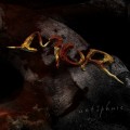 Buy MoR - Antiphase Mp3 Download