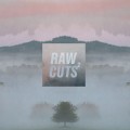 Buy VA - Chillhop Raw Cuts 2 Mp3 Download