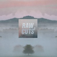 Purchase VA - Chillhop Raw Cuts 2