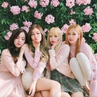 Purchase Blackpink - Blackpink In Your Area (Japanese Version)