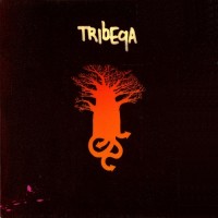 Purchase Tribeqa - Tribeqa